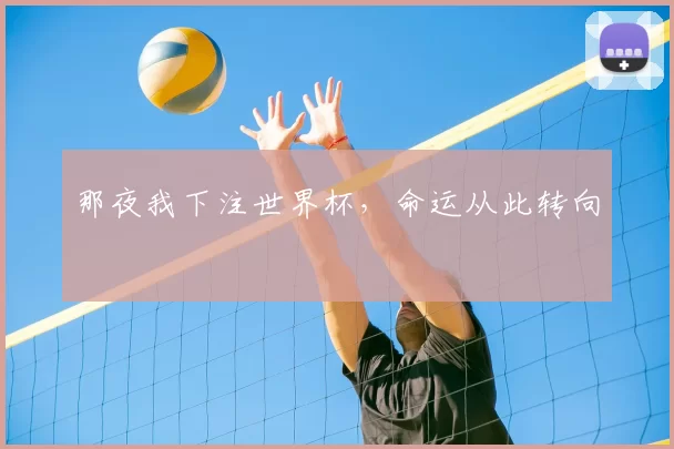 那夜我下注世界杯，命运从此转向