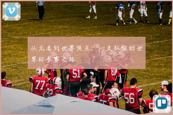 从无名到世界焦点：一支队伍的世界杯参赛之路