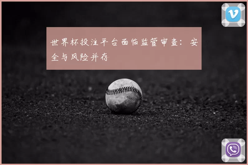 世界杯投注平台面临监管审查:安全与风险并存