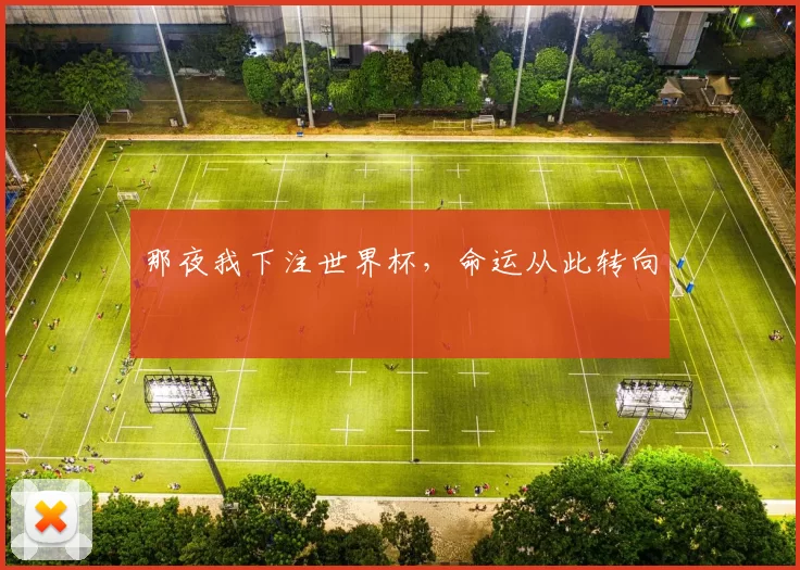 那夜我下注世界杯，命运从此转向