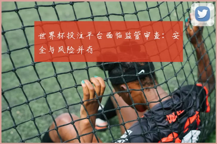 世界杯投注平台面临监管审查：安全与风险并存