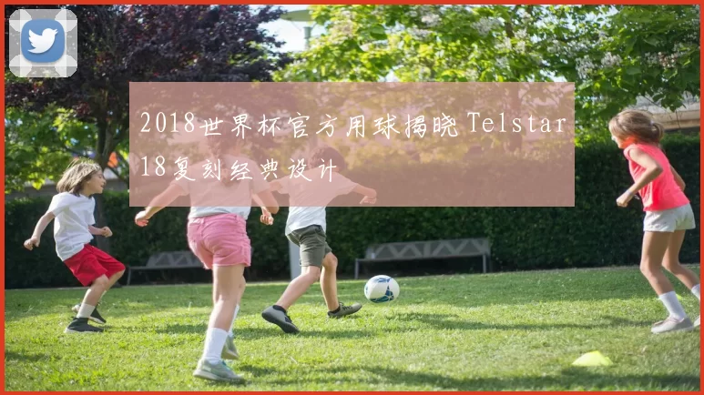 2018世界杯官方用球揭晓 Telstar18复刻经典设计