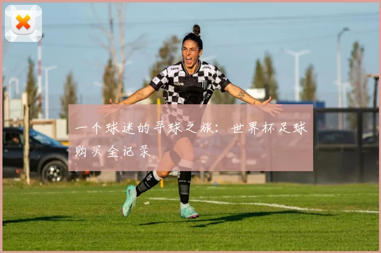 一个球迷的寻球之旅:世界杯足球购买全记录